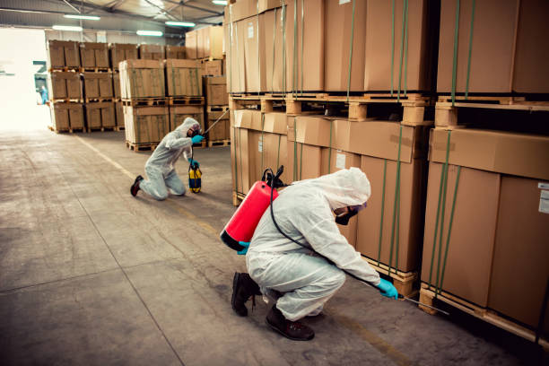Best Exterminator Services  in Skyline Ganipa, NM