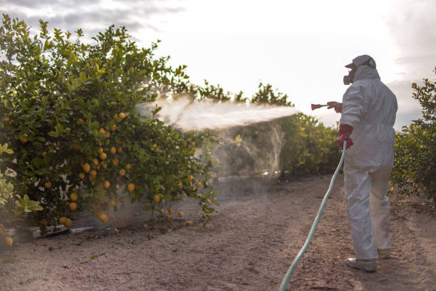 Best Pest Inspection Near Me  in Skyline Ganipa, NM