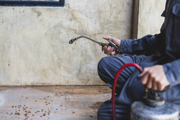 Best Flea Control Services  in Skyline Ganipa, NM